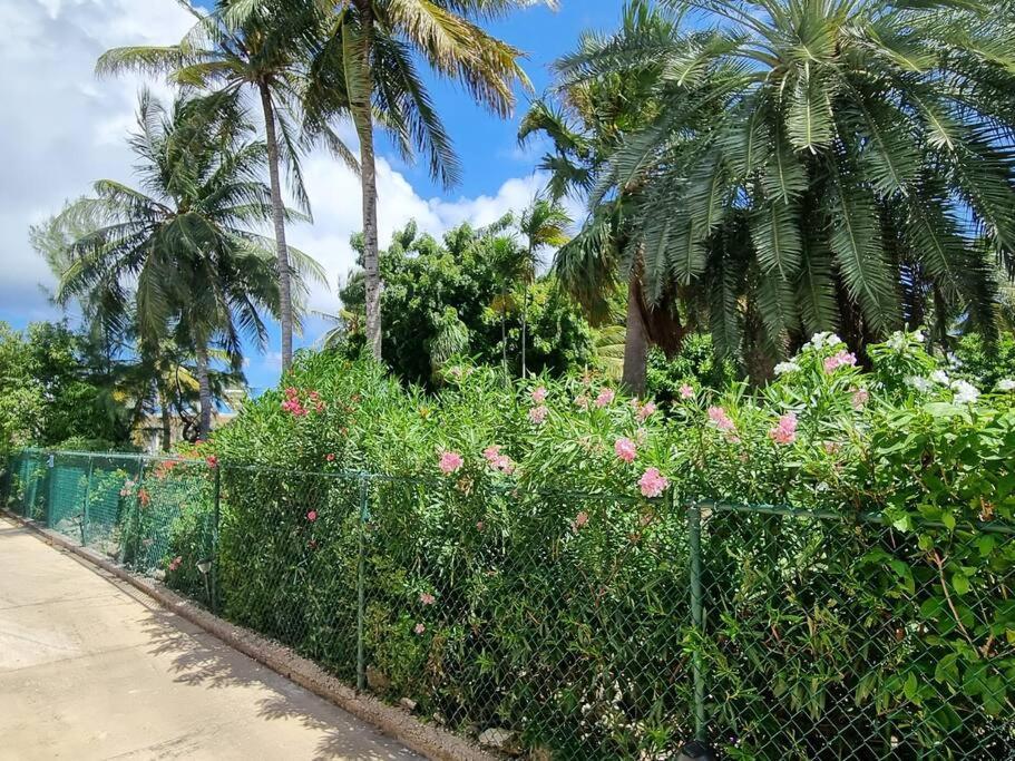 Coastal View7 Apt #3 基督教堂市 外观 照片